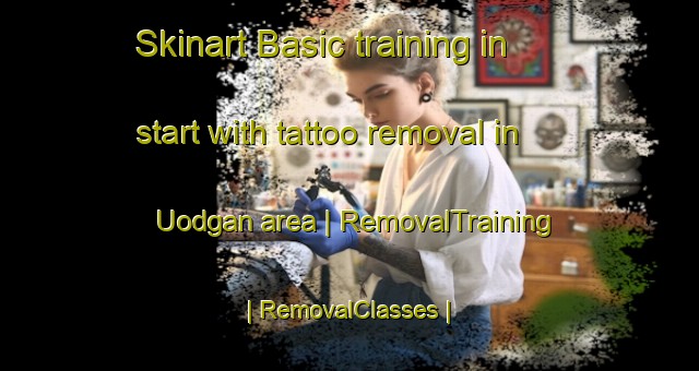 Skinart Basic training in start with tattoo removal in Uodgan area | RemovalTraining | RemovalClasses | SkinartTraining-Eritrea